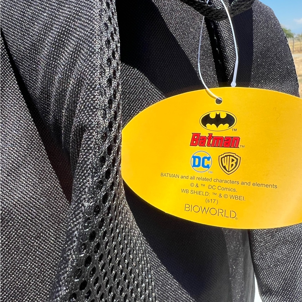 Batman and Robin Backpack - Picture 7 of 9